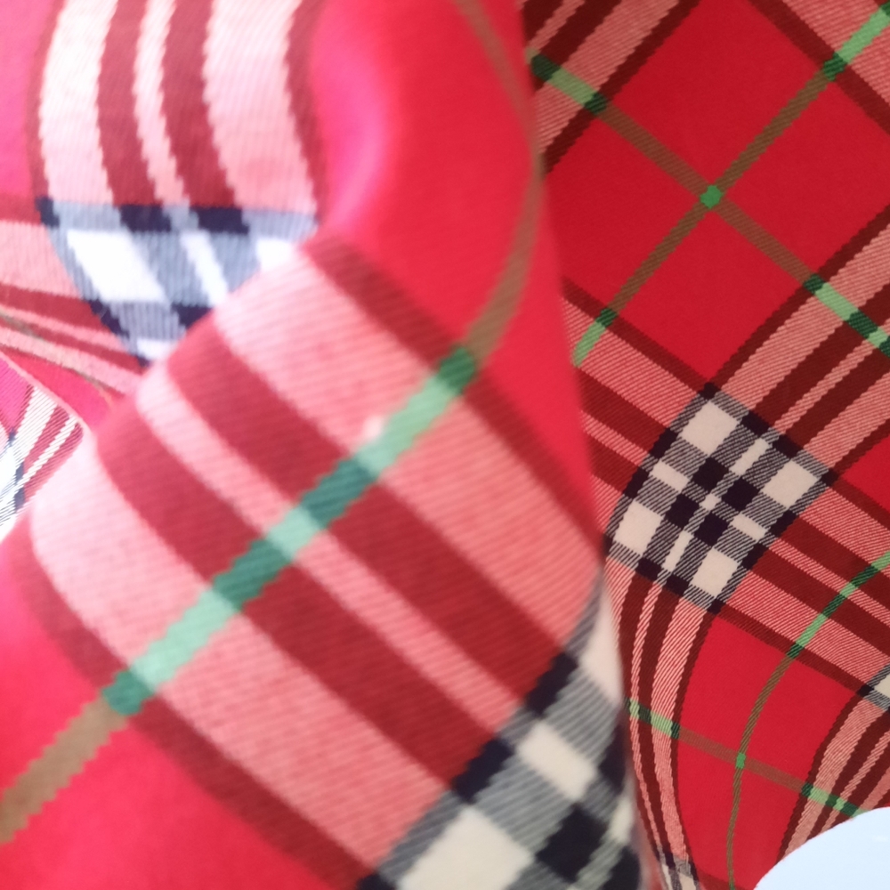 Hanna Anderson Red Plaid ALine Skirt Lined Womens Size Small Christmas Winter - Picture 7 of 15